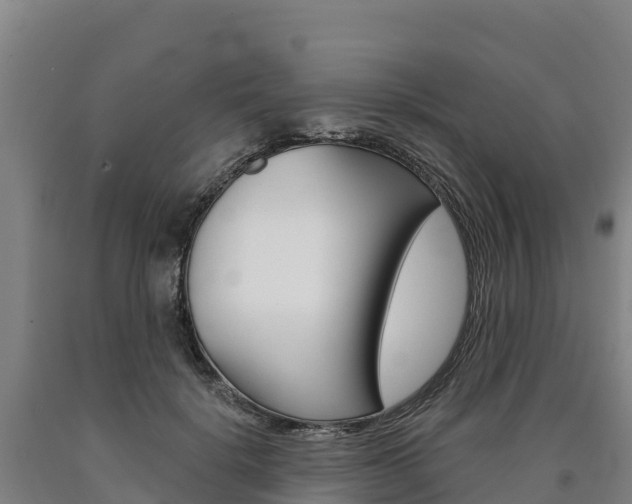 X0000090930652200707301115