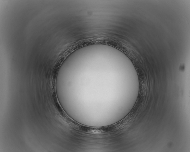 X0000090930654200707301115