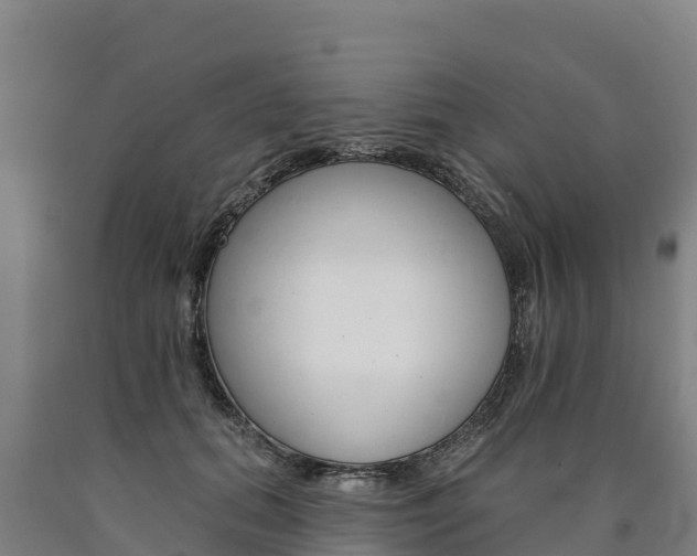 X0000090930655200707301115