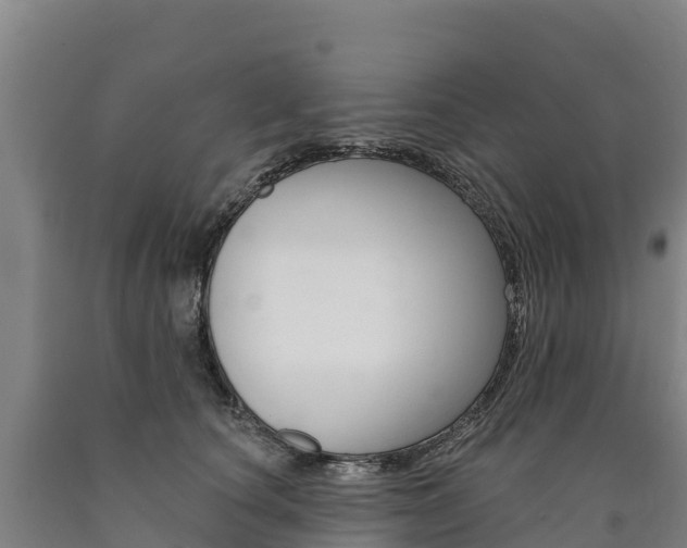 X0000090930660200707301115