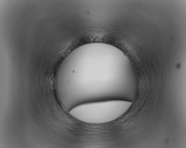 X0000090930661200707301115