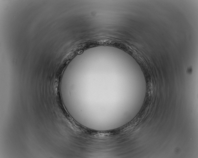 X0000090930664200707301115
