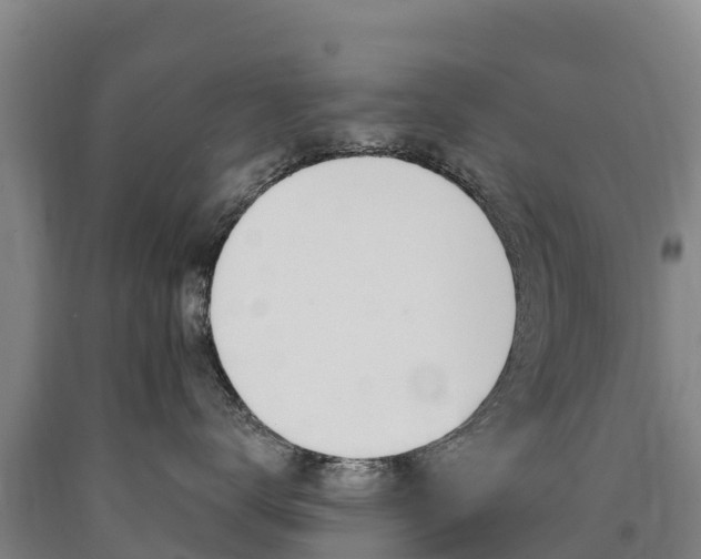 X0000090930672200707301116