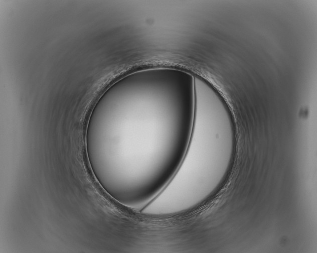 X0000090930673200707301115