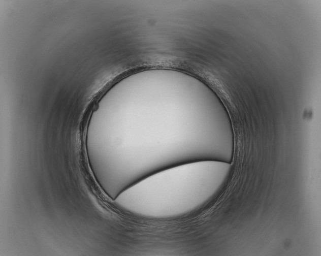 X0000090930674200707301115