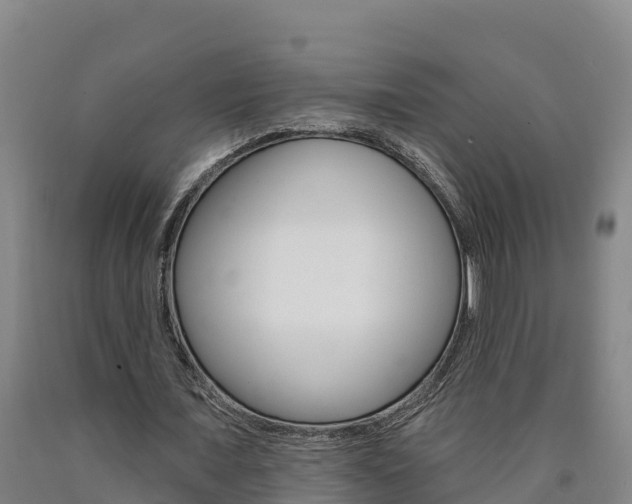 X0000090930675200707301115