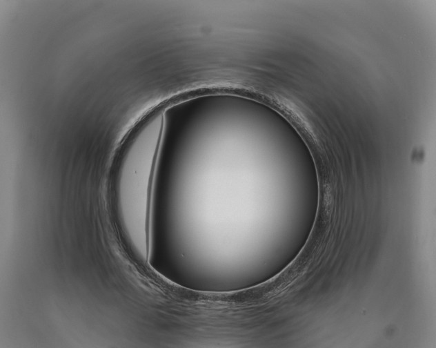 X0000090930676200707301115
