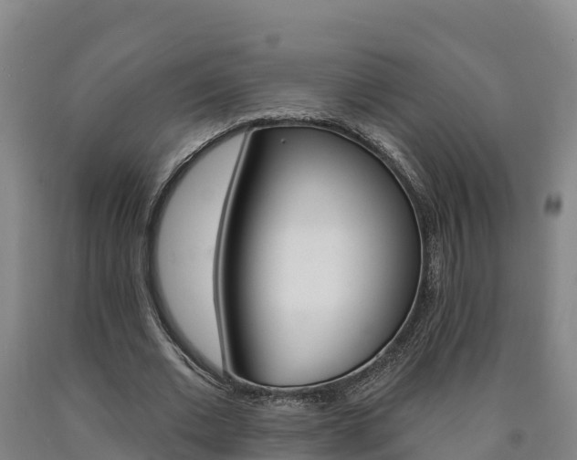 X0000090930677200707301115