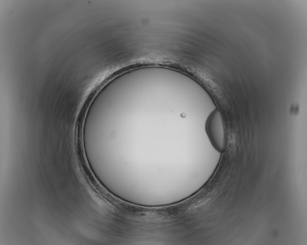 X0000090930678200707301115