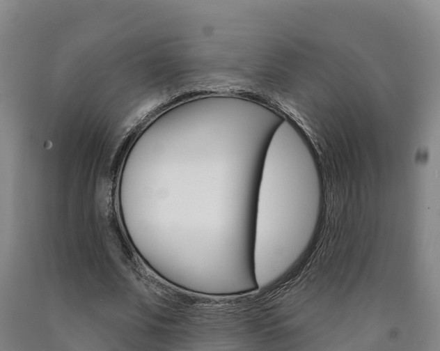 X0000090930679200707301115
