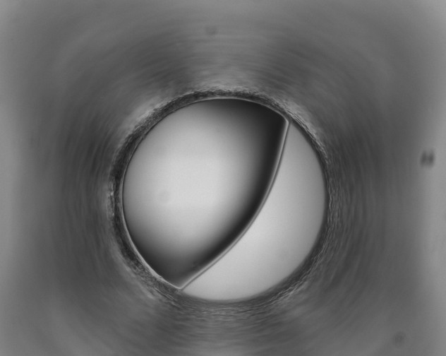 X0000090930680200707301115