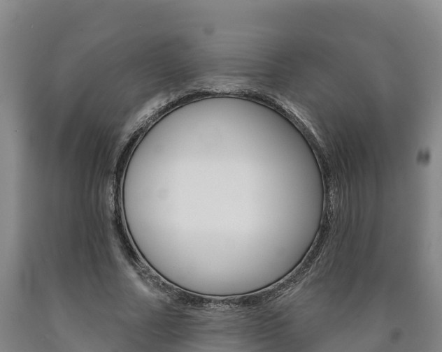 X0000090930682200707301115
