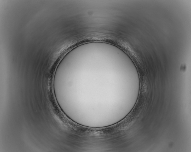 X0000090930683200707301115