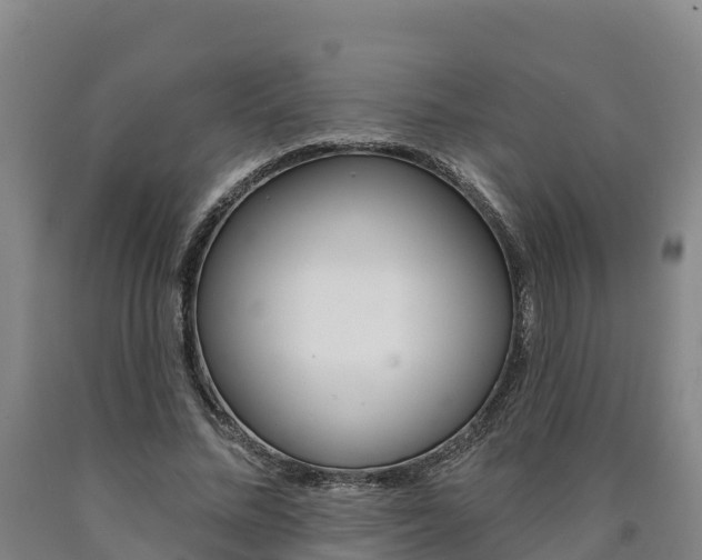 X0000090930684200707301115