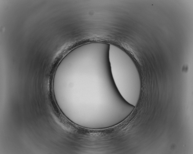 X0000090930686200707301115