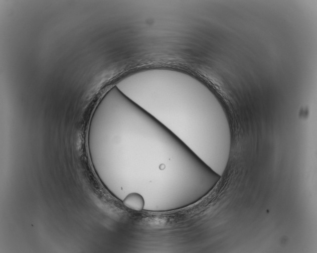 X0000090930687200707301115