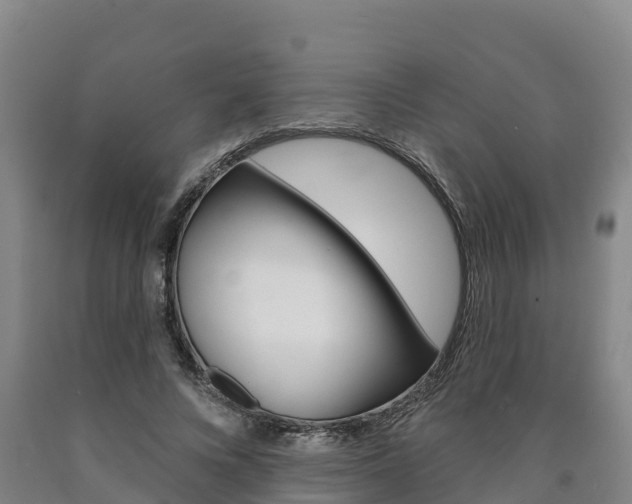 X0000090930688200707301115