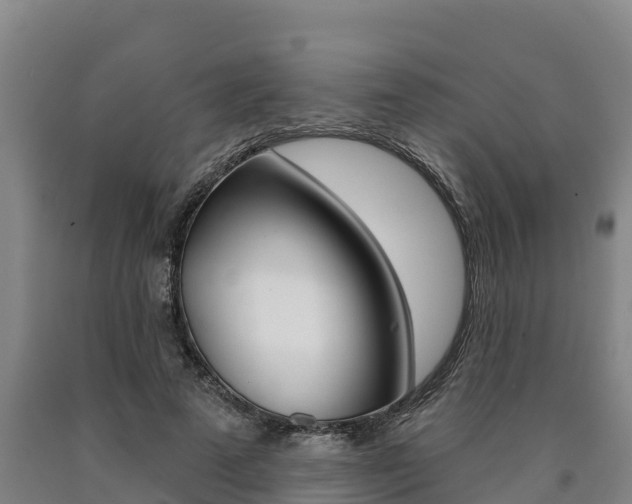 X0000090930689200707301115
