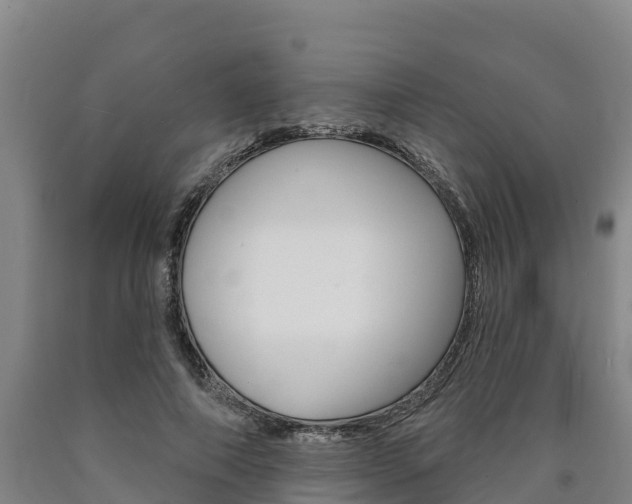 X0000090930690200707301115