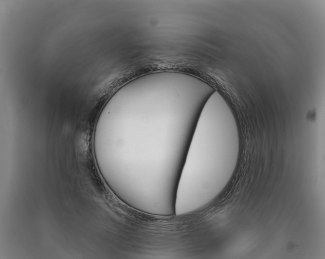 X0000090930691200707301115