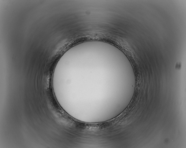 X0000090930694200707301115
