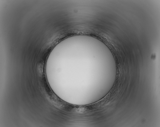 X0000090930695200707301115