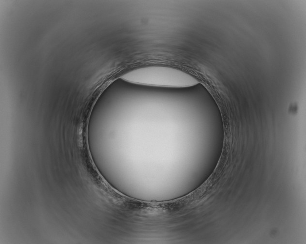X0000090930696200707301115