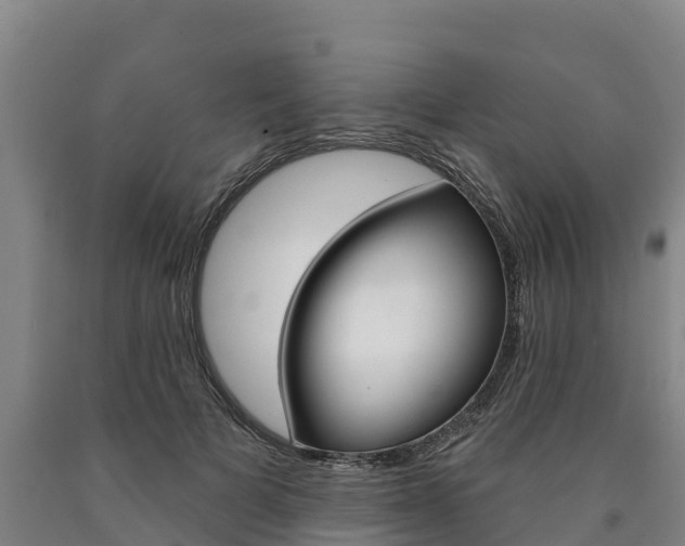 X0000090930697200707301115