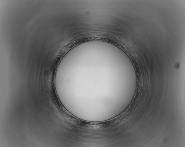 X0000090930698200707301115