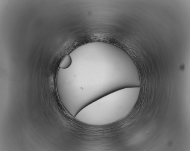 X0000090930699200707301115