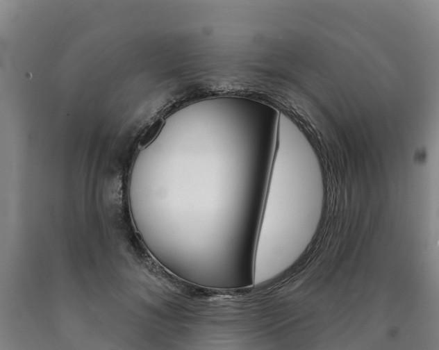 X0000090930700200707301115