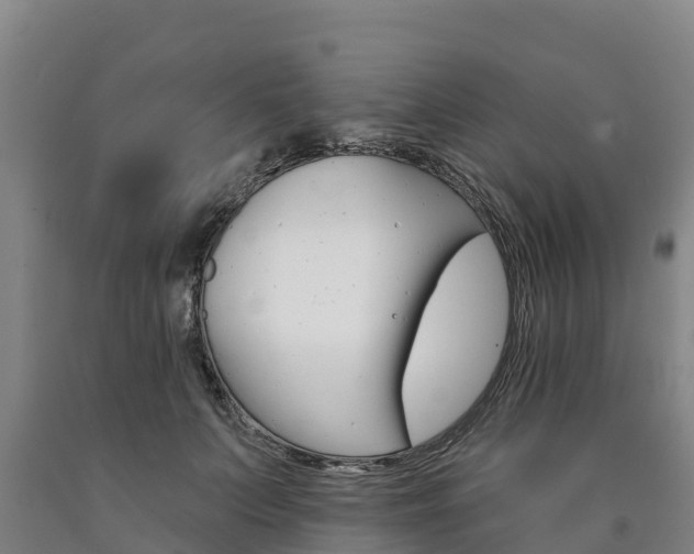 X0000090930703200707301115