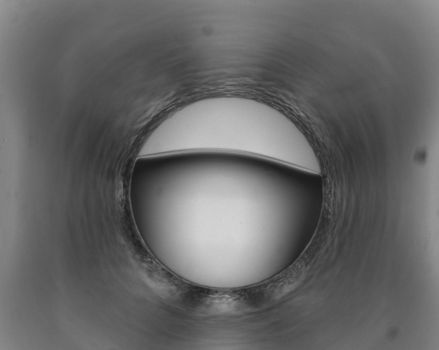 X0000090930704200707301115