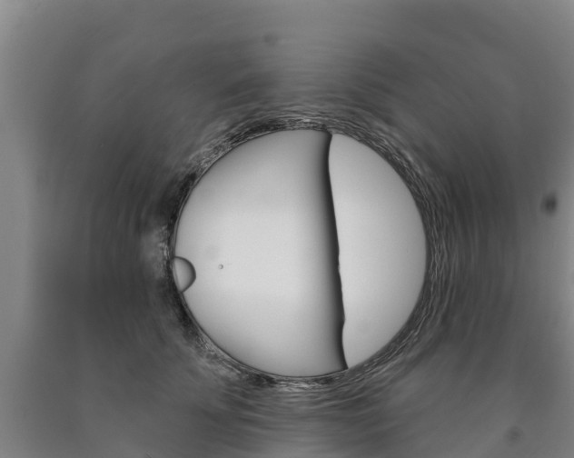 X0000090930707200707301115