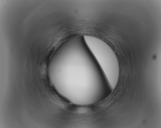 X0000090930708200707301115