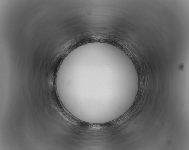 X0000090930710200707301115