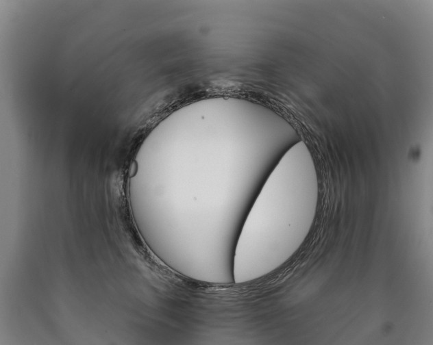 X0000090930711200707301115