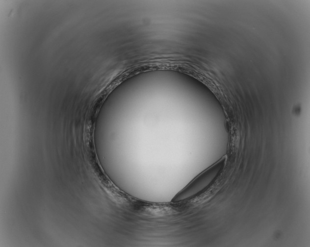 X0000090930712200707301115