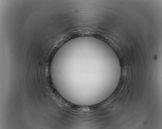 X0000090930715200707301114