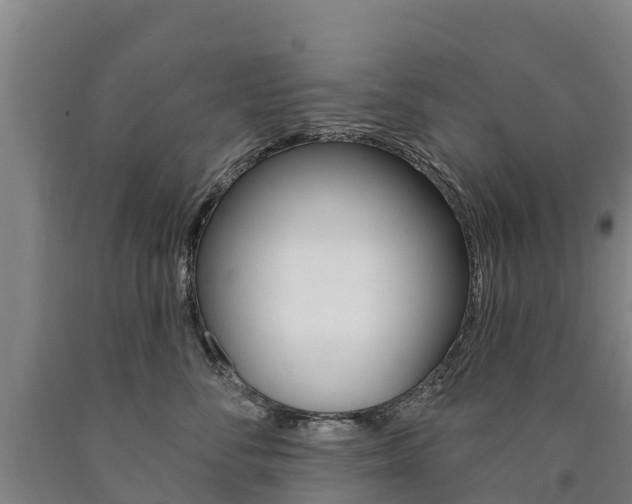 X0000090930716200707301114