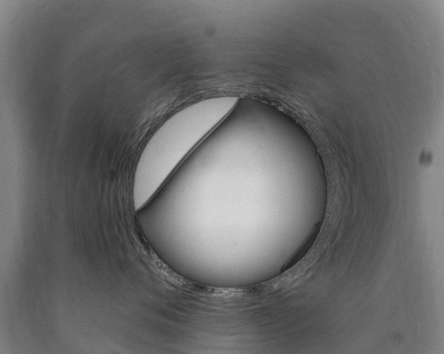 X0000090930720200707301114