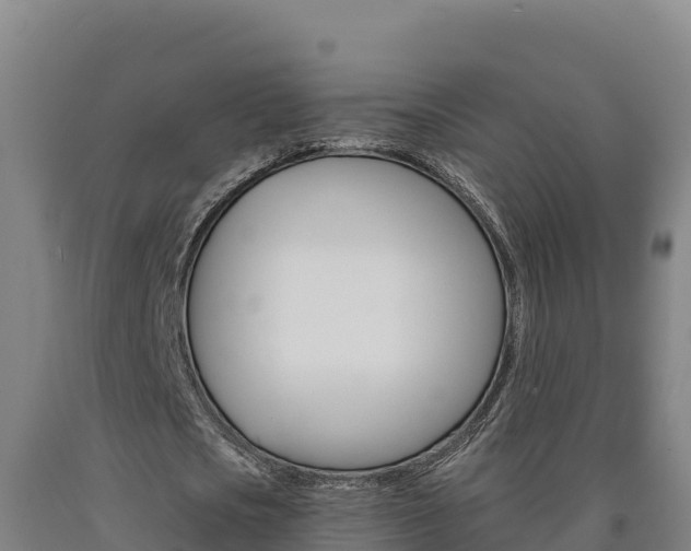 X0000090930721200707301114