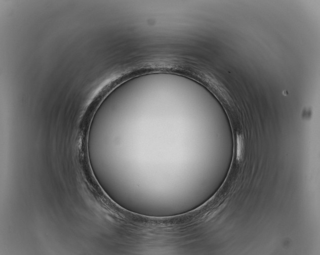 X0000090930723200707301114
