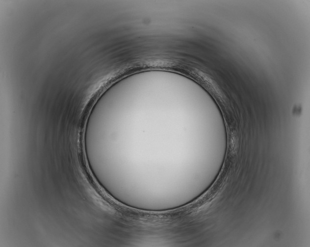 X0000090930725200707301114