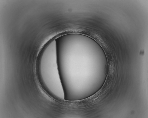 X0000090930726200707301114