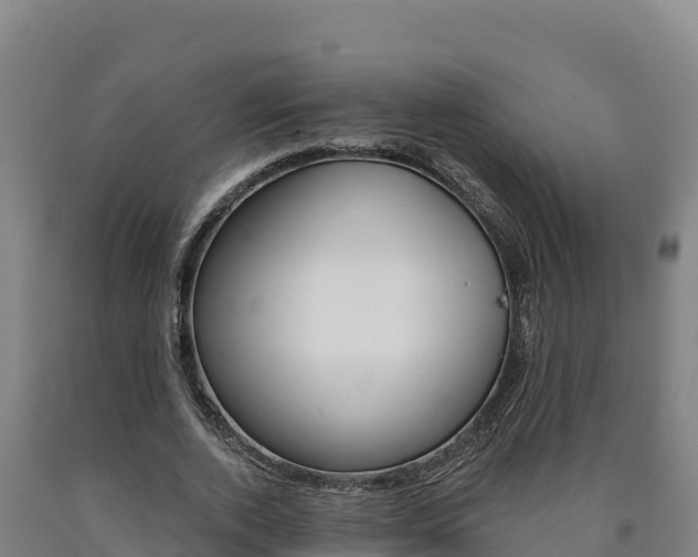 X0000090930728200707301114