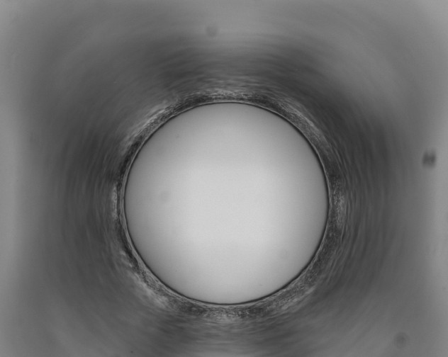 X0000090930729200707301114