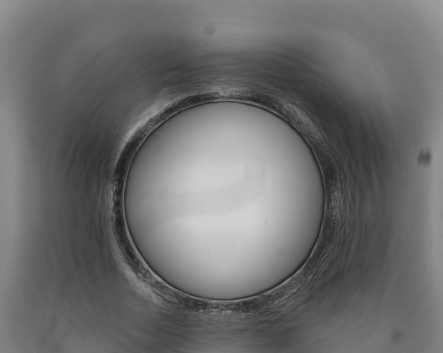 X0000090930730200707301114