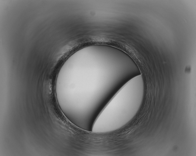 X0000090930731200707301114