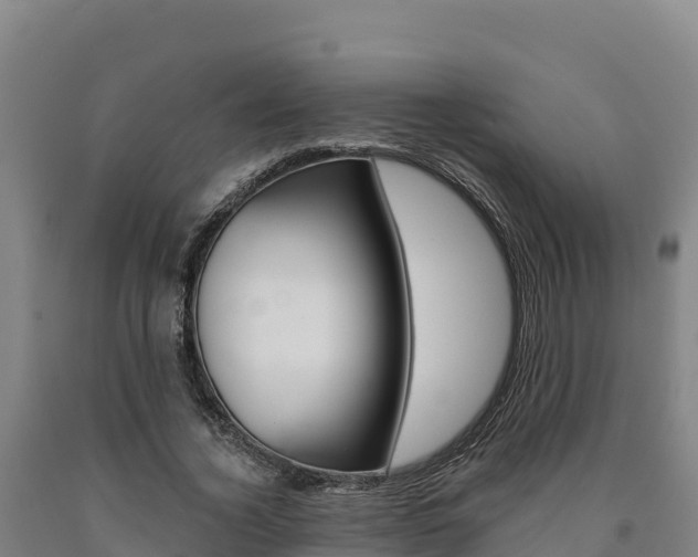 X0000090930732200707301114